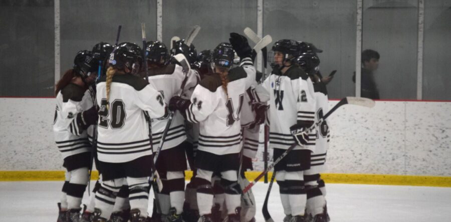 Girls’ hockey playoff shutout