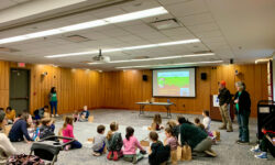 Pea planting at NFPL