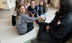 GOFI Dogs visit Intergenerational Program at Pine Hill