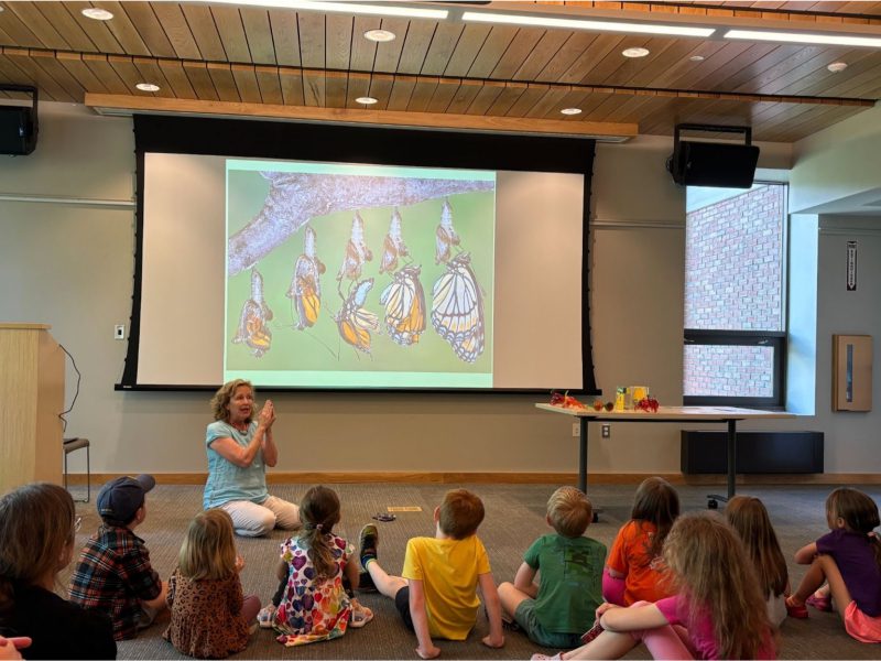 Butterfly fun at the Sherborn Library
