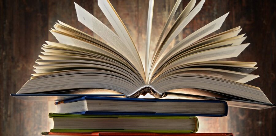 Learning about writing YA novels at NFPL