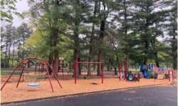 Bird Park completes renovations