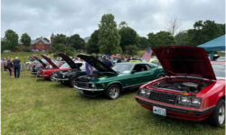 Medfield showcases 60 years of Mustangs