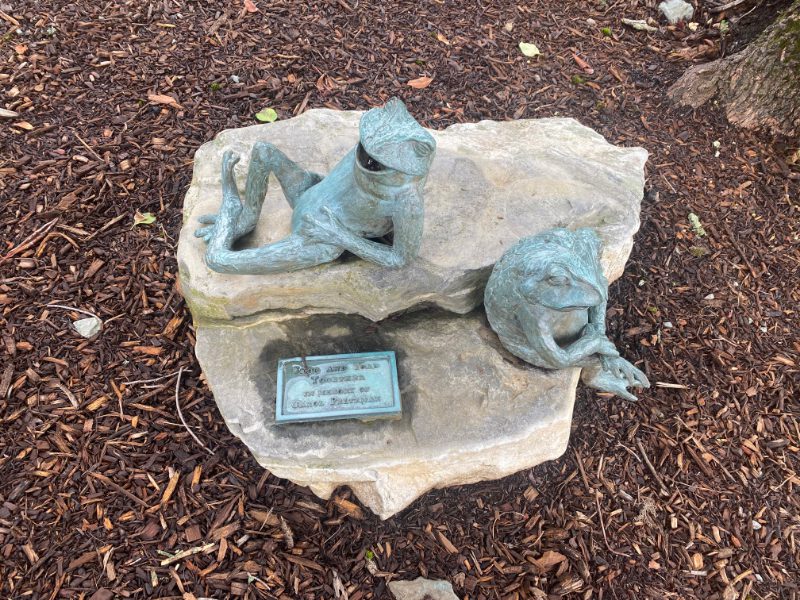 Local libraries participate in Minuteman Library Crawl