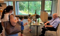 Shark showcase at the Sherborn Library