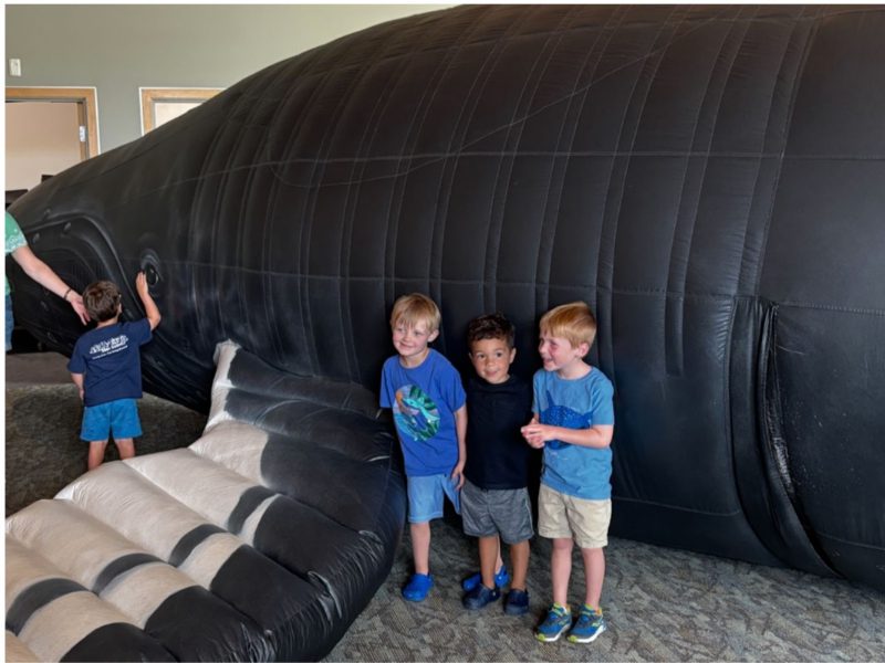 A whale of a time at WPL