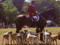 Locals enjoy Polo in the Country