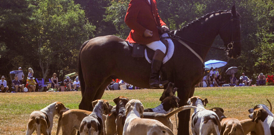 Locals enjoy Polo in the Country