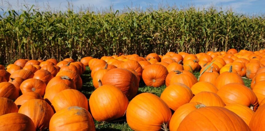 HTW’s October bucketlist 