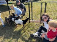 Springdale Field Festival celebrates community