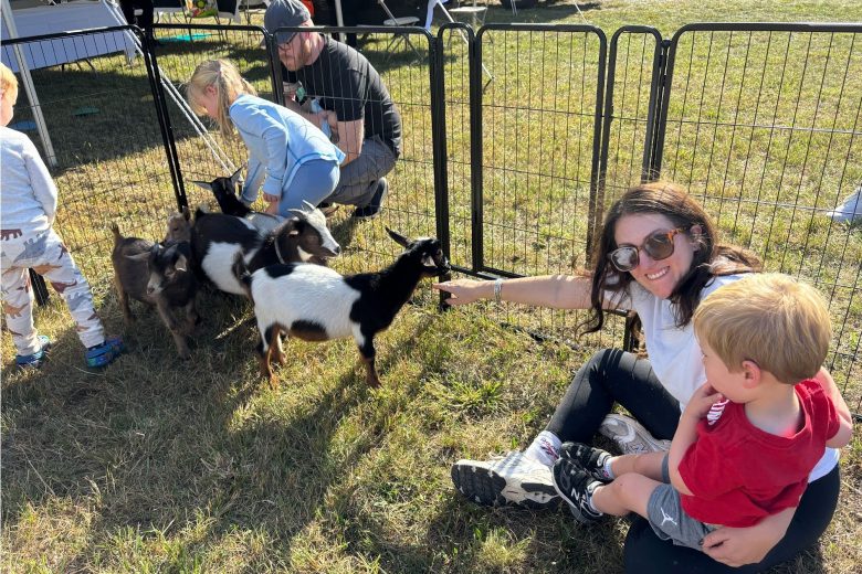 Springdale Field Festival celebrates community