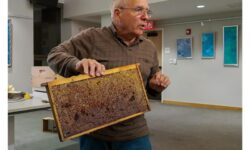 All about beekeeping at Sherborn Library