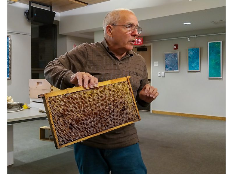 All about beekeeping at Sherborn Library