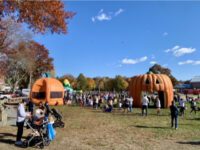 A fabulous day for Falloween