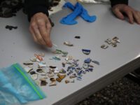 Troop 89 digs into Medfield history