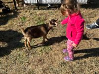 Families flock for Fun at the ‘Forge