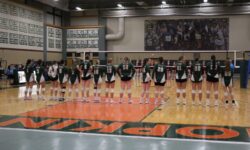 Volleyball fights hard in the playoffs