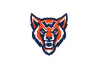 Walpole’s athletes successful fall season