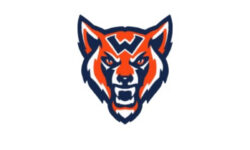 Walpole’s athletes successful fall season