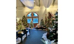 Festival of Trees delights community