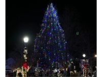 Walpole lights up the Common