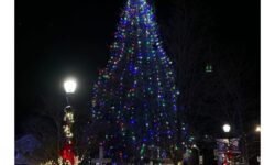 Walpole lights up the Common