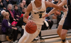 Wolverines victorious over Medfield
