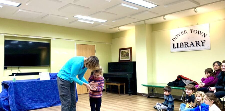 Learning about lizards at DTL