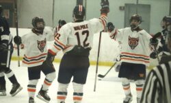 Timberwolves crush Needham