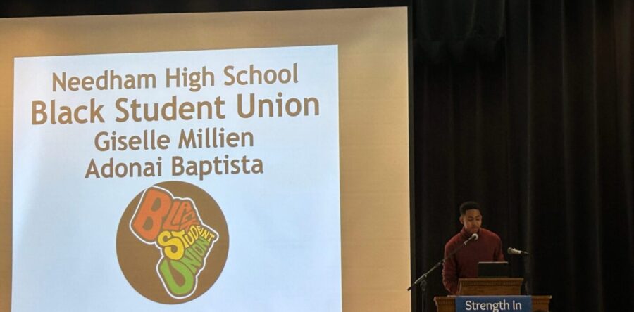 Needhamites celebrate MLK Day