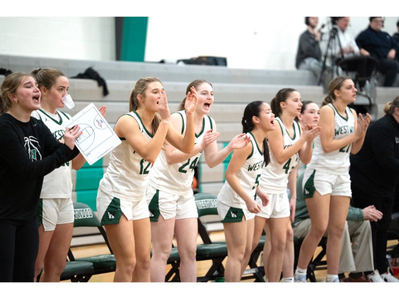 Wolverines’ season ends against Blue Devils