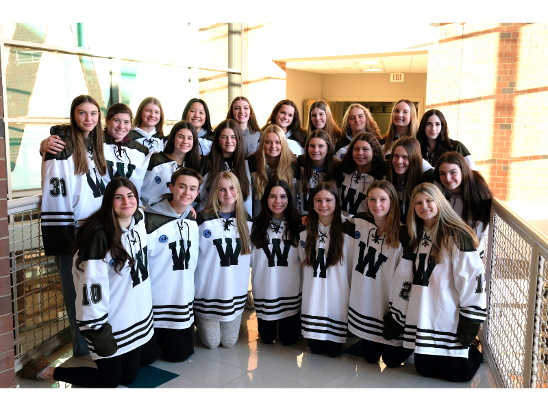 Wolverines dominate with 17-game winning streak