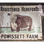 DHS opens Amelia Peabody exhibition