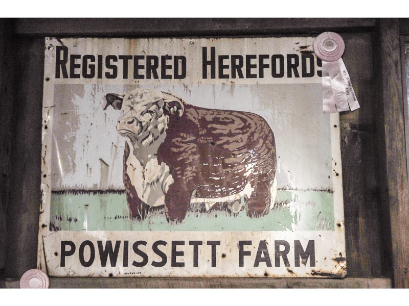 DHS opens Amelia Peabody exhibition