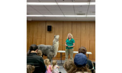Sensational animal and science show at NFPL