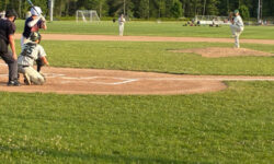 Walpole baseball skins Gators in quarterfinals