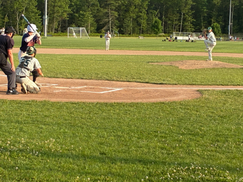 Walpole baseball skins Gators in quarterfinals