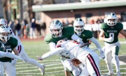 Wolverines pounce on the Panthers