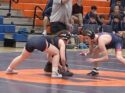 Timberwolves show grit on the mat