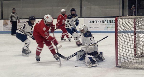Girls’ hockey faces Milton Wildcats