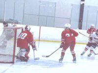 Timberwolves and Wildcats square off in girls’ ice hockey