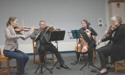 WSO seeks to make symphony music more approachable