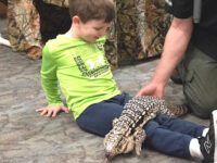 Vacation gets wild at the library