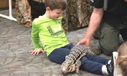 Vacation gets wild at the library