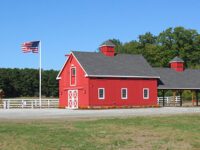 Where to Walk: Adams Farm