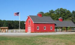 Where to Walk: Adams Farm