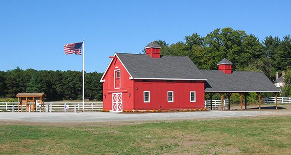 Where to Walk: Adams Farm