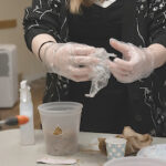 Grow your own mushrooms with Dover Town Library