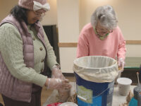 Grow your own mushrooms with Dover Town Library