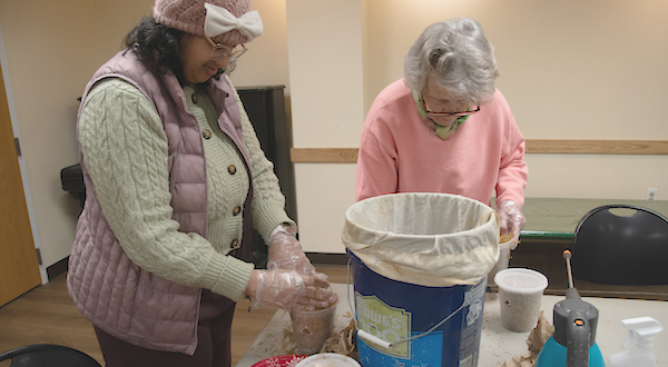 Grow your own mushrooms with Dover Town Library